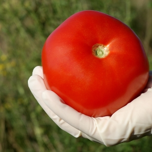 Linee guida per la sicurezza alimentare degli imballaggi