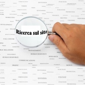 analizzare la ricerca sul sito